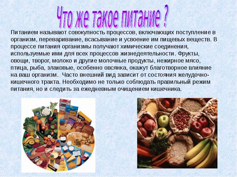 Питание животных биология. Что называют питанием организма дайте полное определение. Что называют питанием организма дайте полное определение. Питание животных 6 класс. Основные принципы рационального питания.