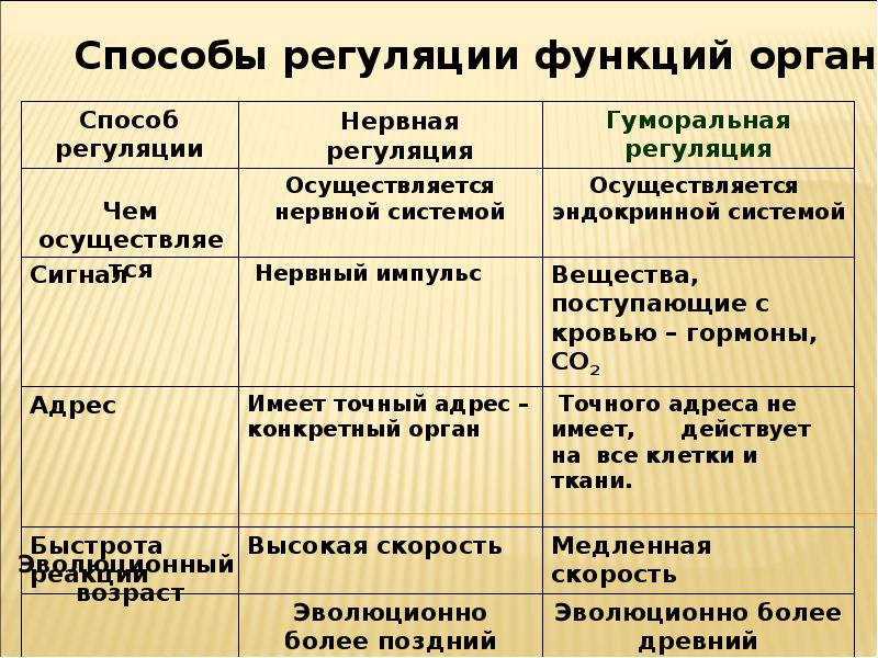 Пути регуляции. Способы регуляции лес. Способы регуляции работы сердца таблица. Способы регуляции леса и пшеничного поля таблица. Способы регуляции лес и пшеничное поле таблица.