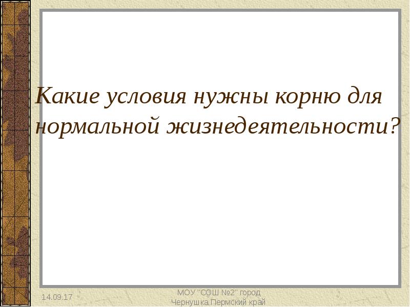 Какие условия нужны для. Процессы жизнедеятельности в корне. Какие условия. Какие условия нужно.