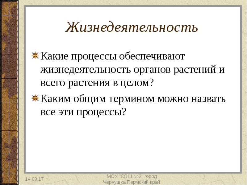 Жизнедеятельные органы. Игровой процесс обеспечивает