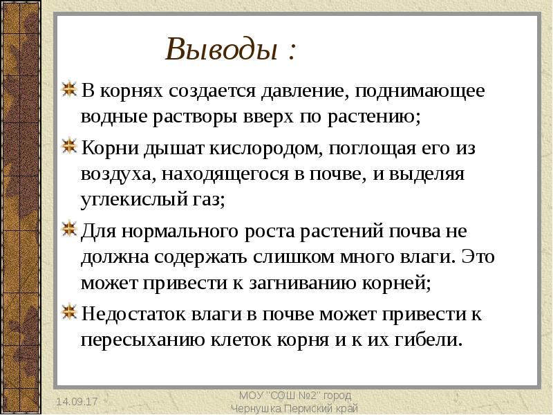 Вывод корень. Вывод по корням. Вывод про корни растений. Заключение корней растений. Пермский край вывод.