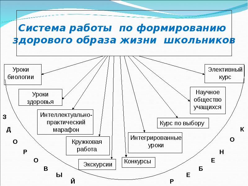 Программа формирования здорового образа жизни школьников