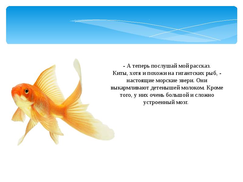 Что узнал евсейка о подводном царстве