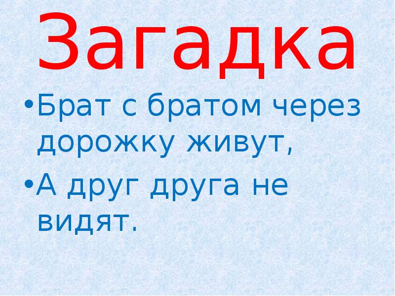 Загадка вижу. Загадка про брата. Брат с братом через дорожку живут а друг друга не видят. Загадка брат с братом через дорожку живут а друг друга не видят. Живут через дорожку а друг друга не видят ответ.