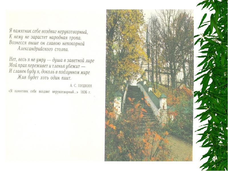 Заросли травы. Тропинка заросшая осенний лес развилка. Извилистая тропа. Народные тропы клин. К нему не зарастет народная тропа картинки.