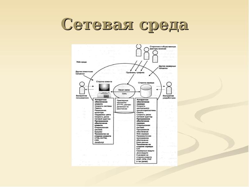 Сетевая среда. Компоненты сетевой среды. Сетевая среда список.