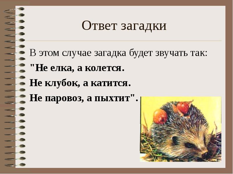 Составить загадку про. Отгадку на эту загадку. Загадка о еже. Загадки с отгадкой Ежик. Загадки с не.