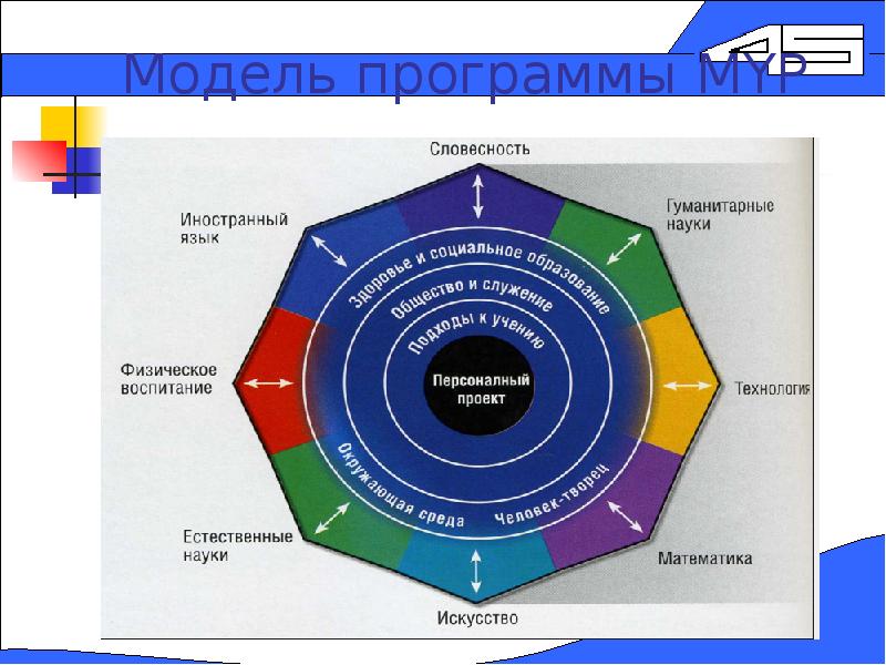 Какая модель оценки. Модель программы. Модель программного приложения. Международный бакалавриат MYP. Модельная программа.