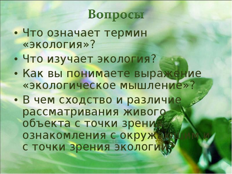 Экология предложил. Что означает термин экология. Как понять термин нравственная экология. Термин «экология» обозначает. Нравственная экология термин.