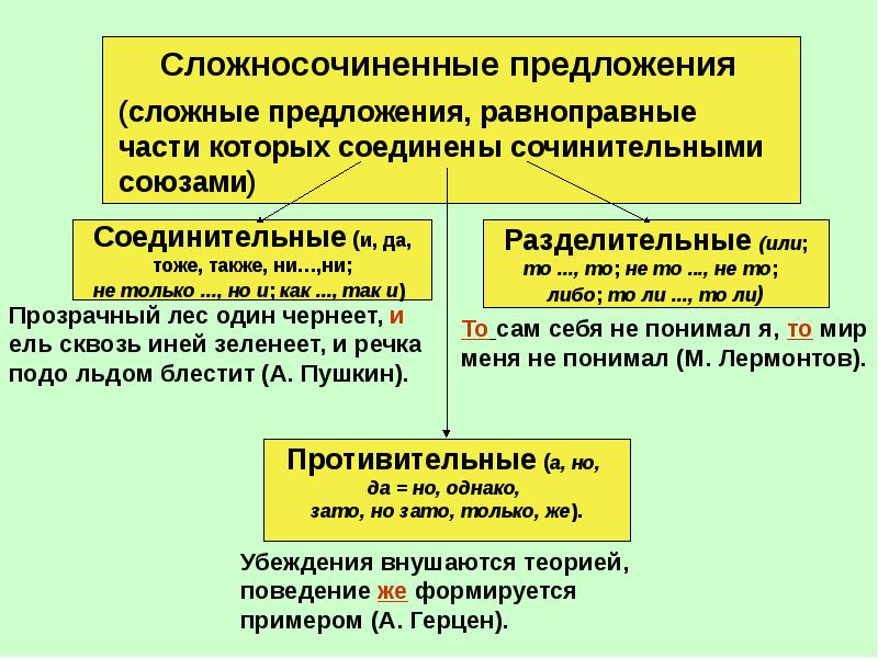 Ссп презентация 9 класс