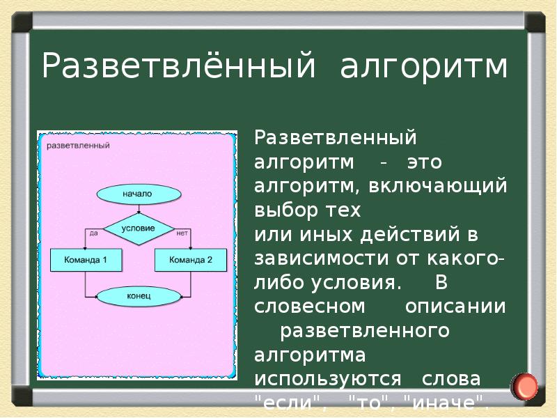 Алгоритмы в жизни человека проект 6 класс