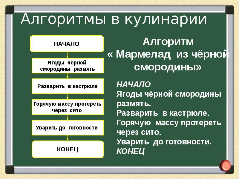 Проект на тему алгоритмы в нашей жизни