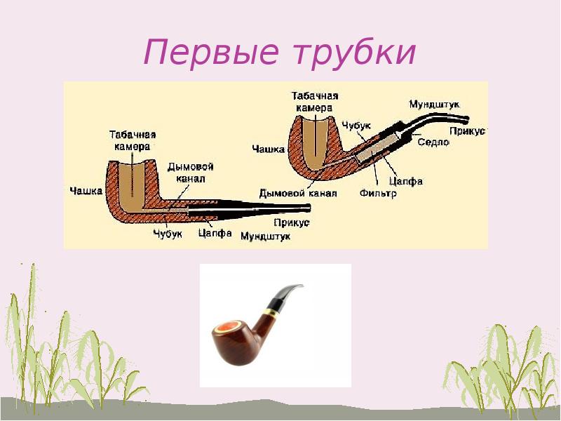 История табака презентация