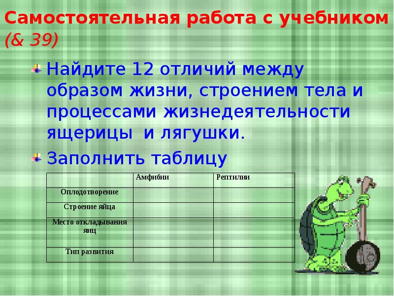 Самостоятельная работа с учебником (& 39) Найдите 12 отличий между образом