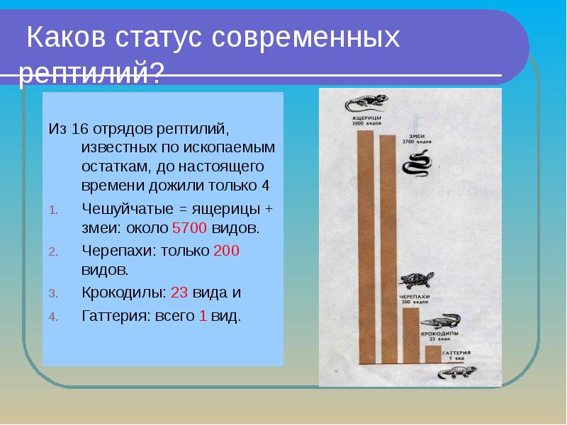 Каков статус современных рептилий?    Из 16 отрядов рептилий,