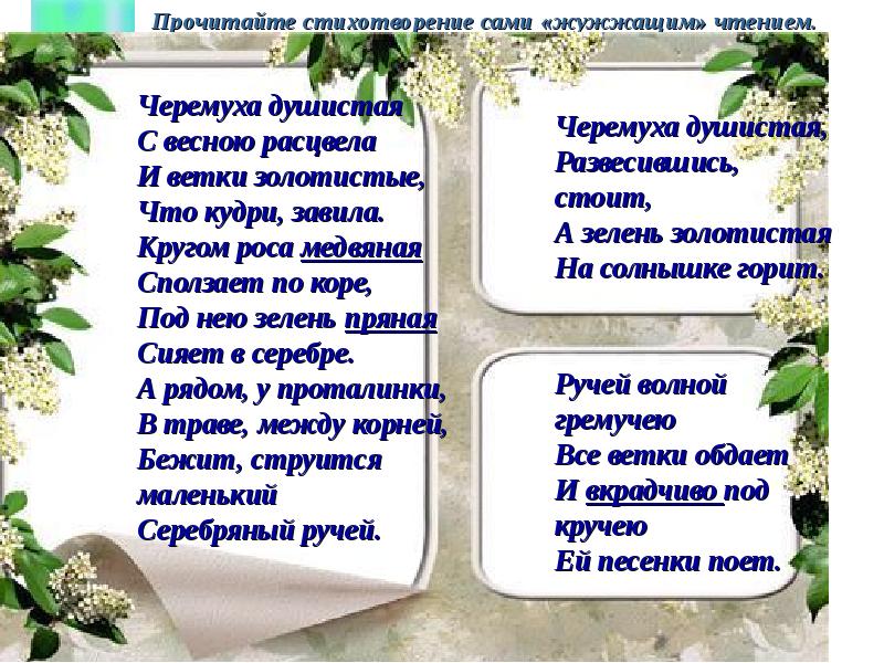 12 прочитай стихотворение. Стих Есенина черемуха душистая. Есенин с. а. "черемуха". Стихотворение черемуха. Черемуха Есенин стихотворение.