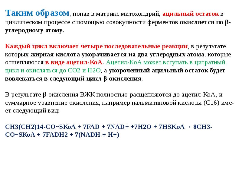 Каким образом попадают. Бета окисление пальмитиновой кислоты реакции. Последний цикл бета окисления пальмитиновой кислоты. Окисление пальмитиновой кислоты. Полное окисление пальмитиновой кислоты.