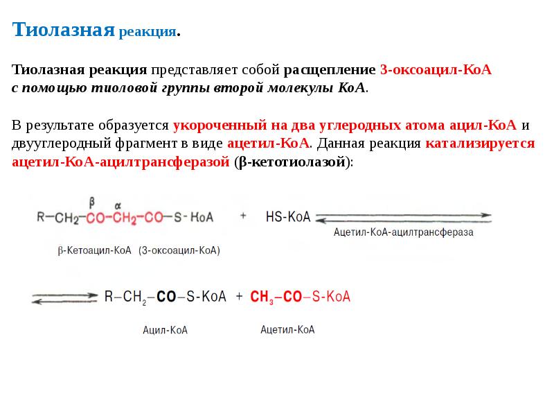 Реакция значение. Механизм протекания тиолазной реакции. Тиолазное расщепление. Тиолазная реакция в бета окислении. Ацил-КОА тиолазная реакция.
