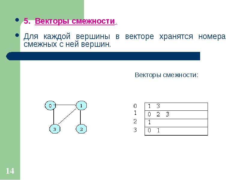 Виды смежности