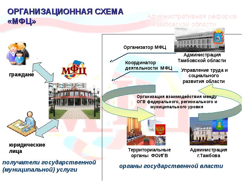 Структура организации мфц схема