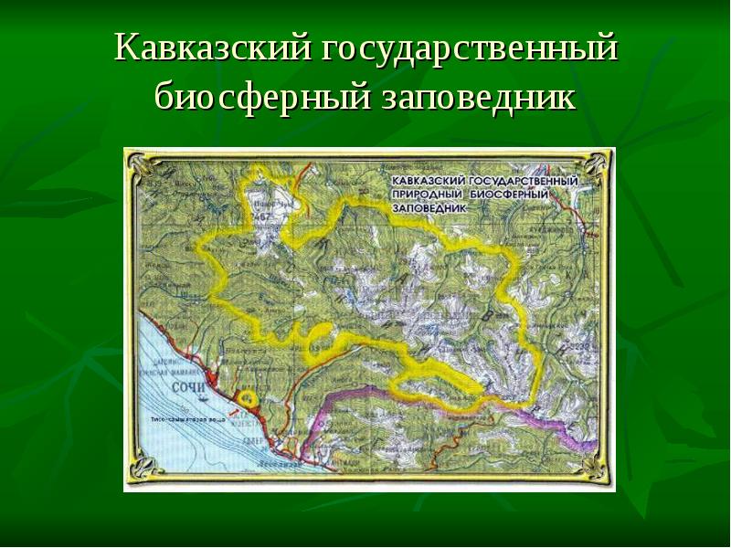 Кавказский заповедник карта границ