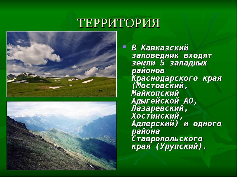 Ответ на вопрос заповедник. Кавказский заповедник презентация. Презентация на тему кавказский заповедник. Кавказский заповедник рассказ. Кавказский заповедник проект.