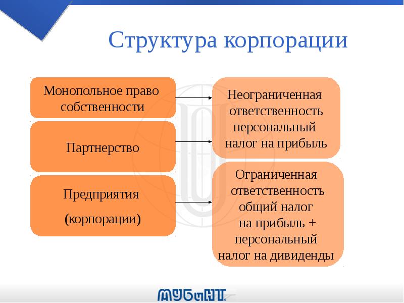 Структура корпорации. Строение корпорации. Структура имущества корпораций. Составляющие корпорации.