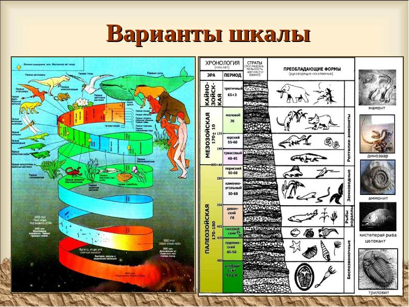 История земли в картинках