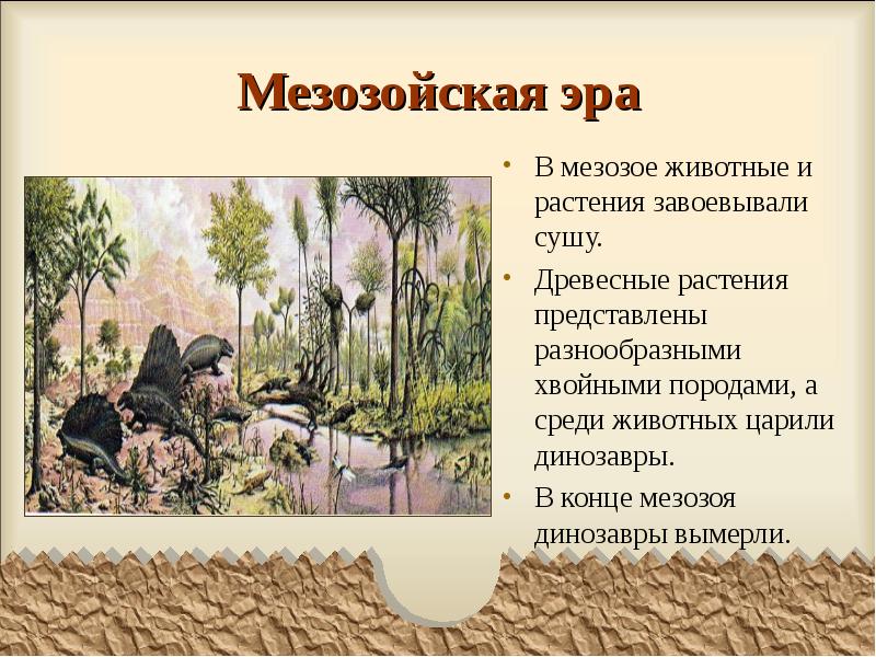Мезозойская эра
В мезозое животные и растения завоевывали сушу.
Древесные Мезозойская эра
В мезозое животные и растения завоевывали сушу.
Древесные