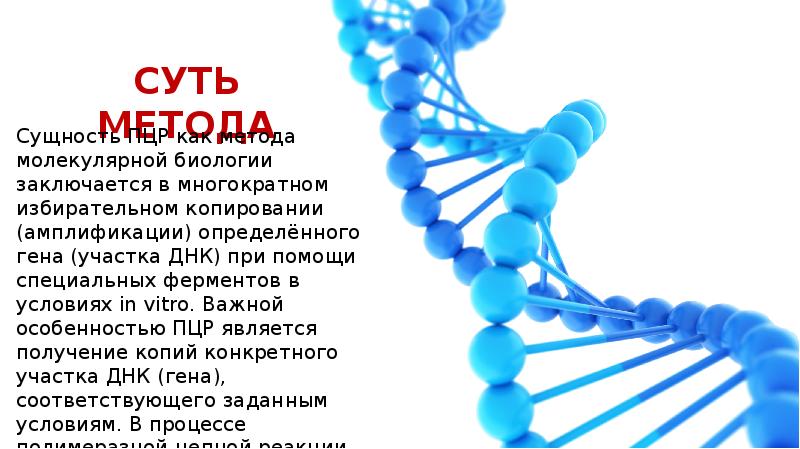 Метод полимеразной цепной реакции презентация