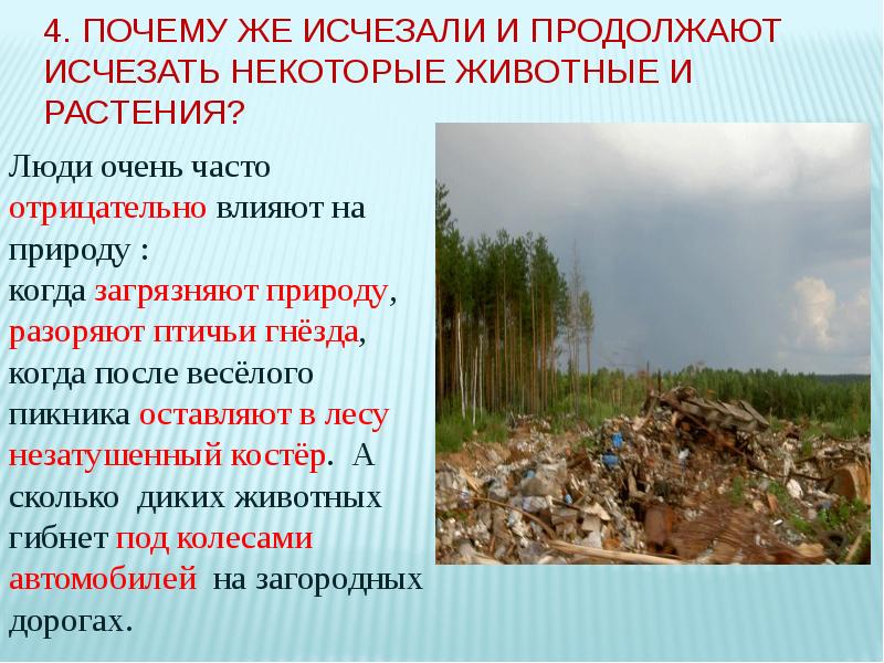 Почему исчезли русские. Почему исчезают растения и животные. Почему исчезают некоторые растения. Почему некоторые животные исчезают. Причины загрязнения природы собаками.