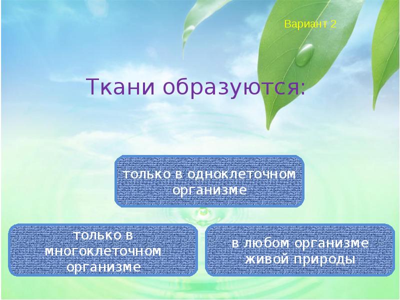 Вариант термин. Какое значение для организмов имеет способность к размножению. Способности организма. Термин Таксон обозначает. Размножение это способность организма.