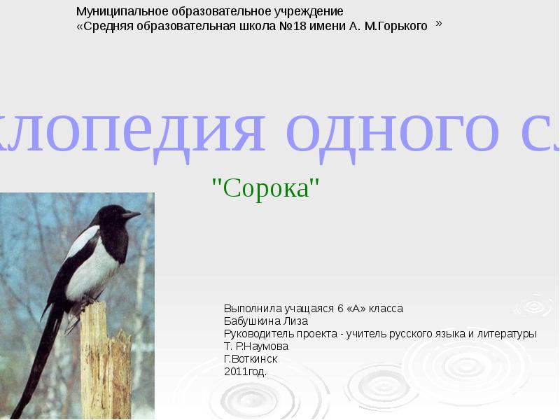 Что означает сорока. Происхождение слова сорока. Предложение про сороку. Предложение про сороку для детей. Сорока от слова.