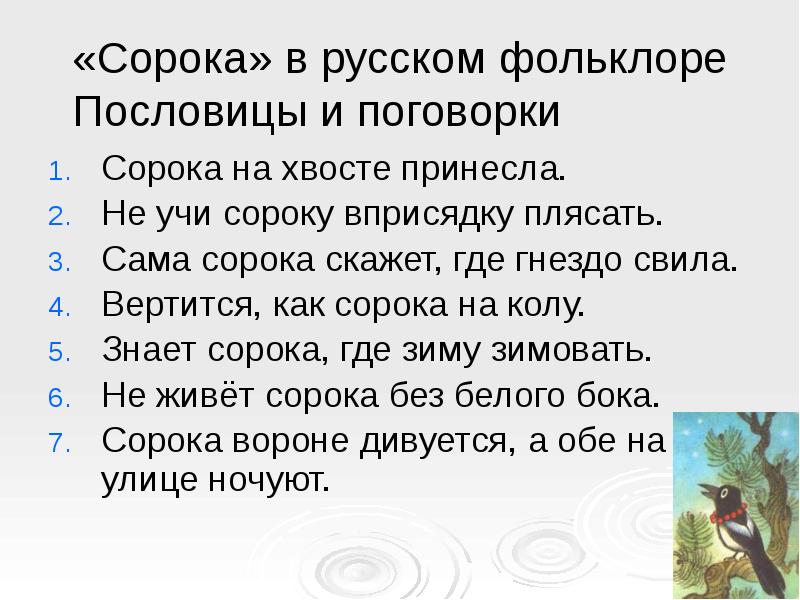 Сорока составь предложение. Пословицы и поговорки о Сороке. Поговорки про сороку. Пословицы про сороку. Пословицы и поговорки про сорок.