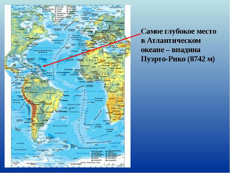 Соотнеси элементы рельефа дна океана с точками на изображении