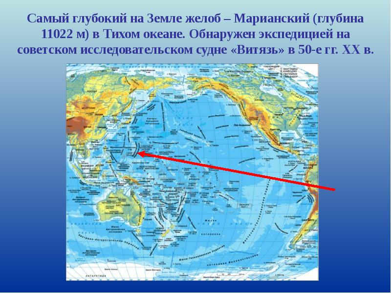 Рисунок жизнь в океане по географии 6 класс