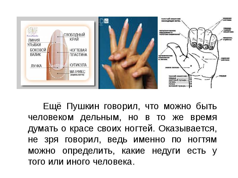 Краса ногтей онегин. Быть можно дельным человеком и думать о красе ногтей Пушкин. Быть можно дельным человеком и думать о красе ногтей кто сказал. Пушкин ногти.