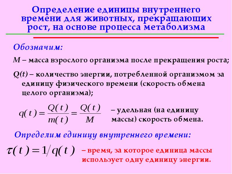 Число т время