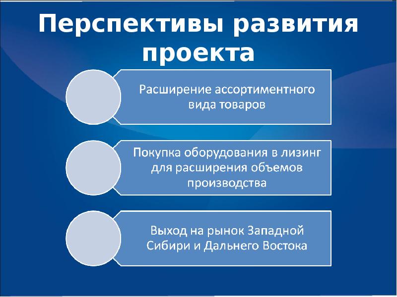 Перспективы развития проекта