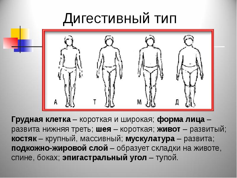 Схемы конституциональной диагностики в г штефко и а д островского