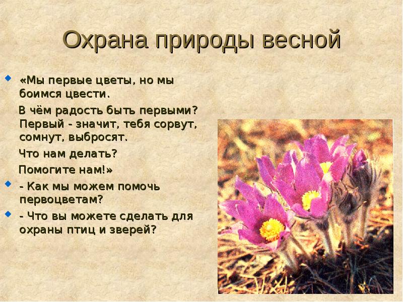 Охрана природы весной. Охрана природы весной окружающий мир. Охрана природы весной 2 класс. Вопросы об охране природы весной.