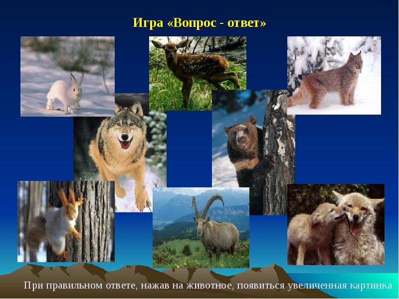 Животные родного края 2 класс окружающий мир. Многообразие зверей родного края. Проект животный мир родного края.