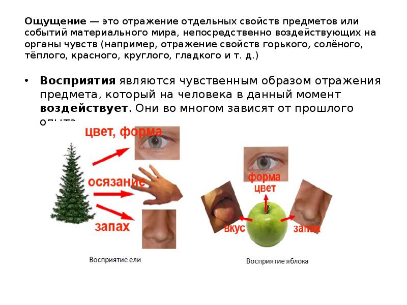 Отдельные свойства предмета. Свойства отражения отдельных свойств предмета. Отражение отдельных свойст впредметоав. Ощущение это отражение отдельных свойств предметов. Ощущение это отражение.