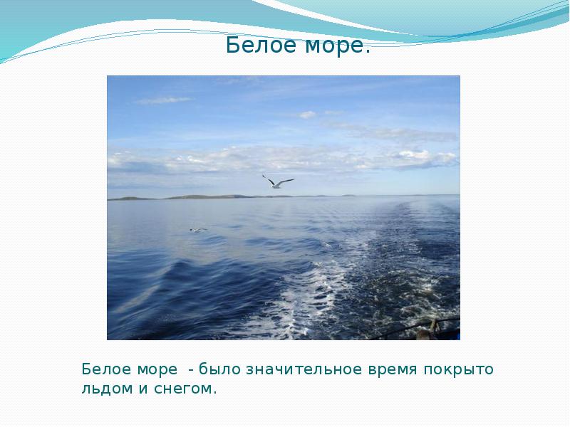 Белое море сочинение. Белое море презентация. Белое море доклад. Сообщение о белом море. Рассказ о белом море.