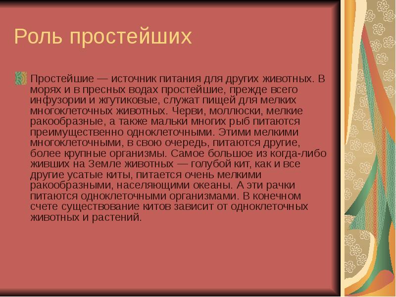 Простейшие вывод. Вывод по простейшим. Простейшие организмы примеры. Методы истории Репиной.