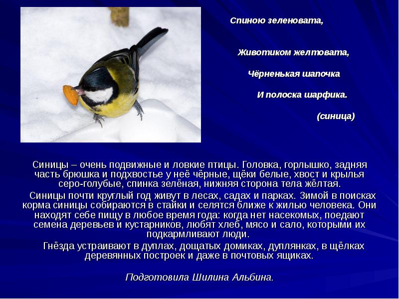 Презентация «Наши друзья — птицы»
