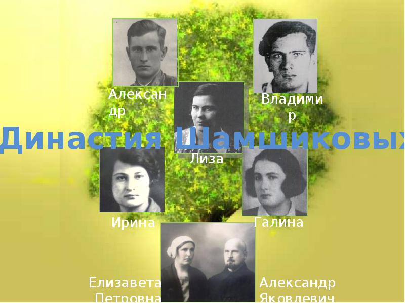 Мдш ул лизы шамшиковой фото