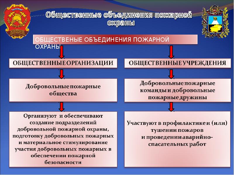 Вид деятельности пожарной охраны. Общественные организации пожарной охраны. Структура добровольной пожарной охраны. Объединения пожарной охраны.. Виды пожарной охраны в Российской Федерации.