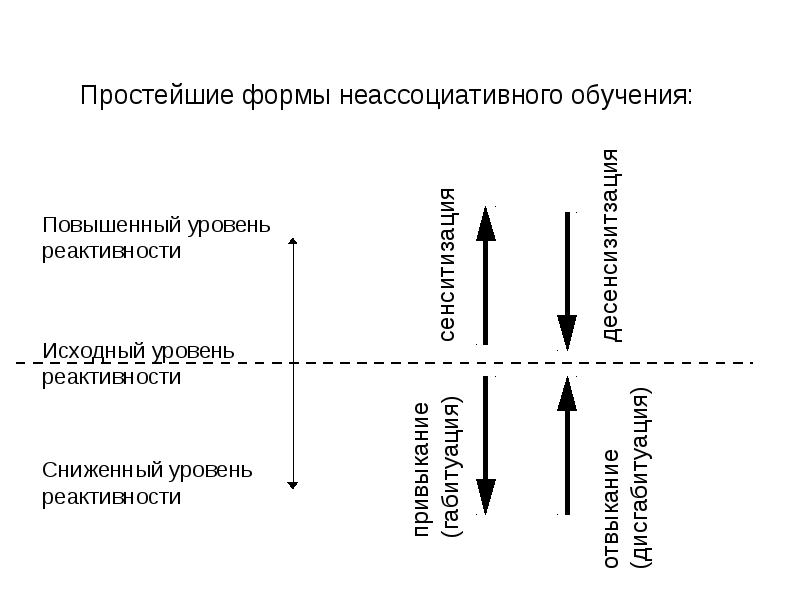 Формы поведения человека. Неассоциативное обучение. Неассоциативные формы обучения. Простейшие формы поведения. Неассоциативное поведение.