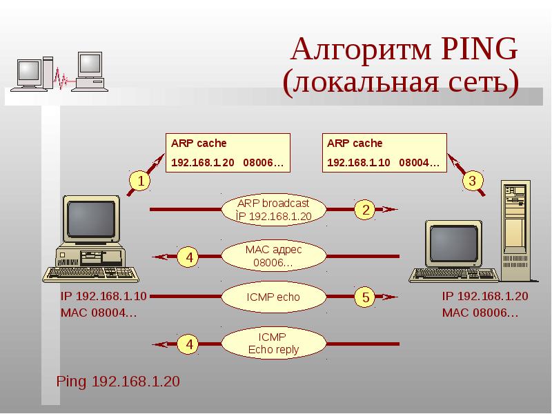 Алгоритмы сети